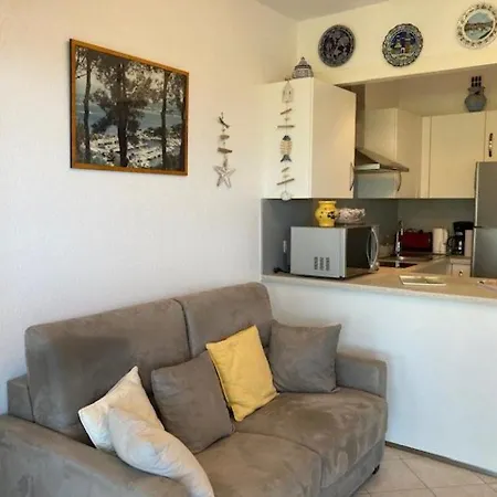 Appartement T2 Climatisé Proche Avec Parking - - Fr-1-308-181 Le Lavandou