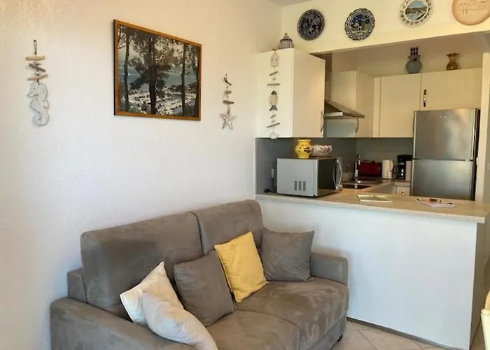 Apartman T2 Climatise Proche Avec Parking - - Fr-1-308-181 Le Lavandou